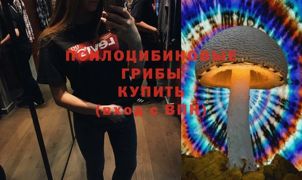мдпв Абаза