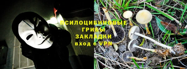 прущие грибы Абдулино